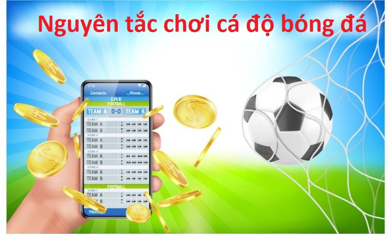 Nguyên tắc chơi cá độ bóng đá luôn thắng.